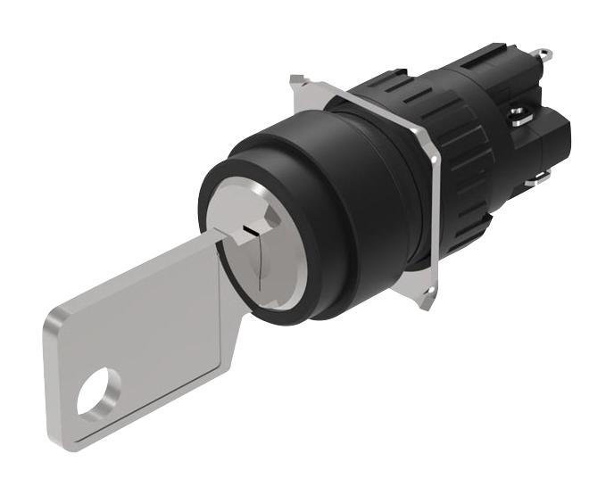 51-135.025D2 KEYLOCK SW, SPST-NO/NC, 2 POS, 5A, 250V EAO