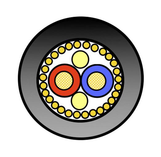 70040.00100 SHLD CABLE, 2COND, 0.22MM2, 100M BELDEN