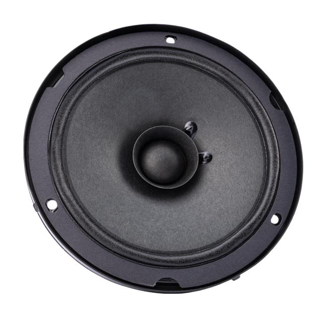 SPKR.6.4.A DUAL CONE SPEAKER, 6", 4 OHM, 30W TAOGLAS