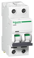 A9F53204 Thermal Mag CKT Breaker, 2P, 4A, 440VAC Schneider Electric