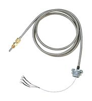 CFTF-000-RTD-2-60-1-CC RTD'S: Plastics Processing RTD'S Omega