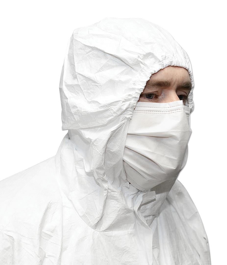 600-3001 CLEAN ROOM FACEMASK W/ EARLOOP, 100 PCS INTEGRITY